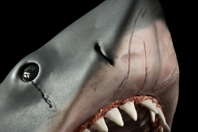 Illustration for article titled A 1:6 Scale Replica Of The Jaws Shark, To Feast Upon Your Figures